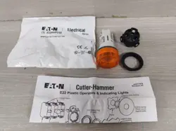 E22HVP9X4 AMBER