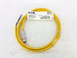 FEMALE STRAIGHT