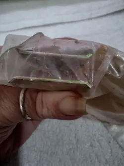 MAGNET