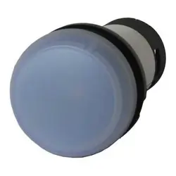 C22-L-W-24