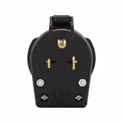 PLUG 250 VAC
