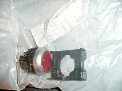 ILLUMINATED PUSHBUTTON