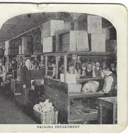 EATON CO. STORE
