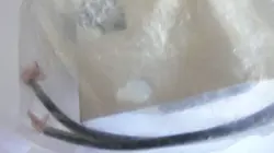 AC