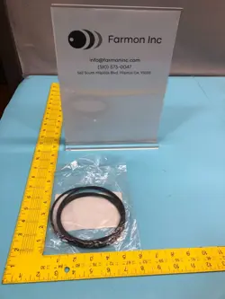NOVELLUS 22-10407-00 O-RING, 17.69