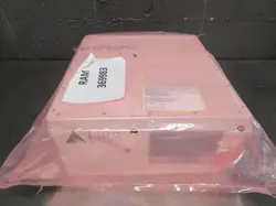 RAM 369983