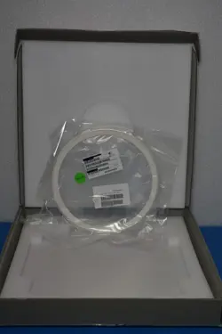 Y203