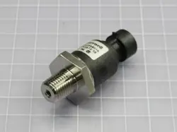 AMP