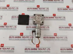 51309688-001