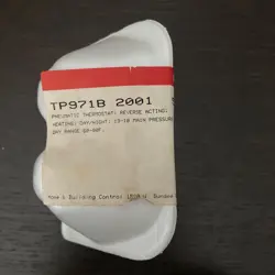 ACTING THERMOSTAT TP971B2001