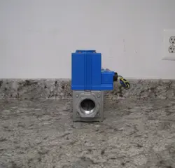 REGULATED GAS VALVE