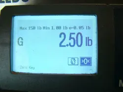 L91B