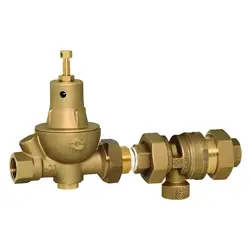 NPT: