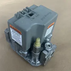 VALVE 100365-02 NATURAL