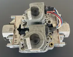 DUAL GAS