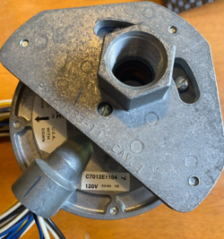 DYNAMIC SEL