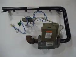 ELECTRONIC NATURAL