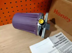 FSG UV FLAME