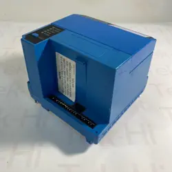 1007 BURNER CONTROL