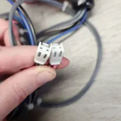 24V AC/DC
