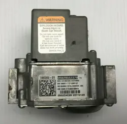 GAS VALVE 100365-01