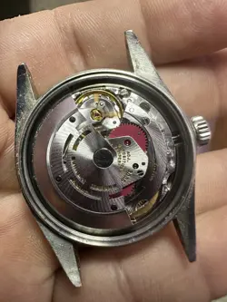 36MM REFERENCE