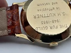 SOLID GOLD CASE
