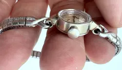 WHITE GOLD CASE