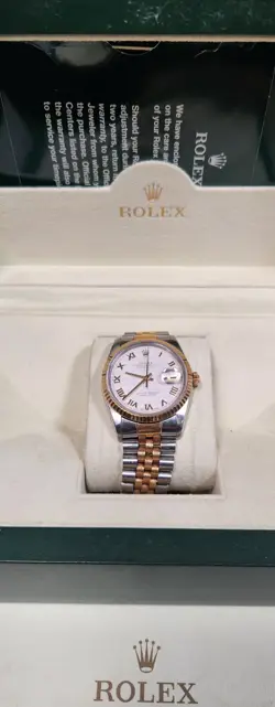 PYRAMID DIAL OYSTER