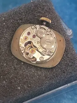 MOVEMENT AND DIAL-RUNS