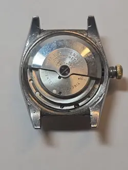 STAINLESS GOLD BEZEL
