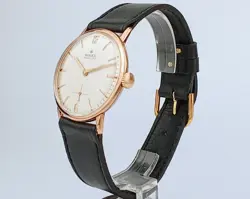 PLATED CASE