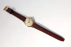 GOLD ROLEX TUDOR