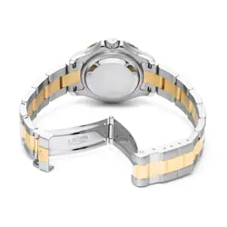 GOLD/STEEL WHITE DIAL