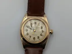 PERPETUAL 3131