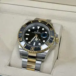 DIVE WATCH 43MM