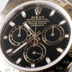 116523 BLACK RANDOM