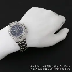 116509 BLUE RANDOM