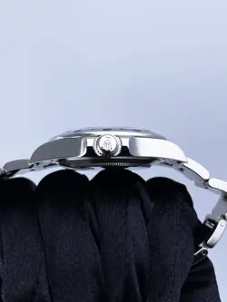 PERPETUAL EXPLORER II