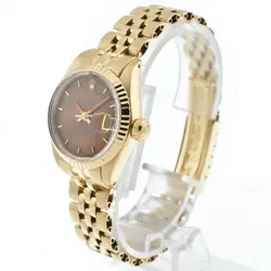BROWN DIAL AUTOMATIC