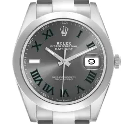 ROLEX DATEJUST 41 WIMBLEDON DIAL STEEL MENS WATCH 126300