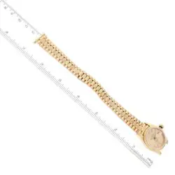 ROLEX DATEJUST PRESIDENT YELLOW GOLD BARK FINISH LADIES WATCH 69278