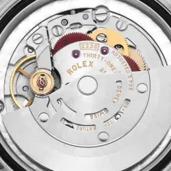 31 STEEL WHITE