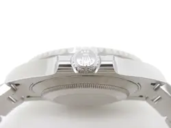 CERAMIC BEZEL SS