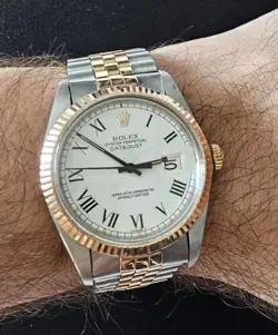 BUCKLEY DIAL SS/RG
