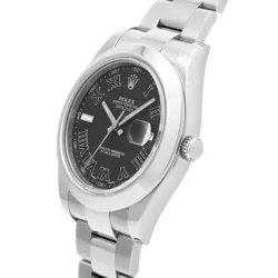 2010 MEN'S WATCH