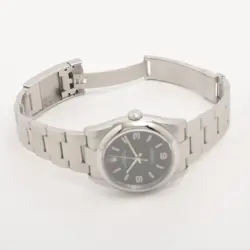 PERPETUAL 116000 SS