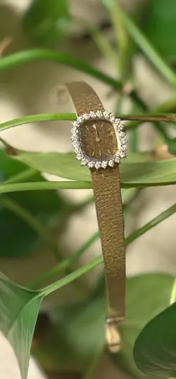 14K CASE