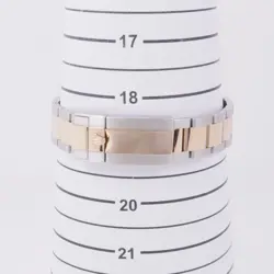 STAINLESS STEEL/18K
