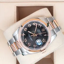 GOLD/STEEL OYSTER 116201